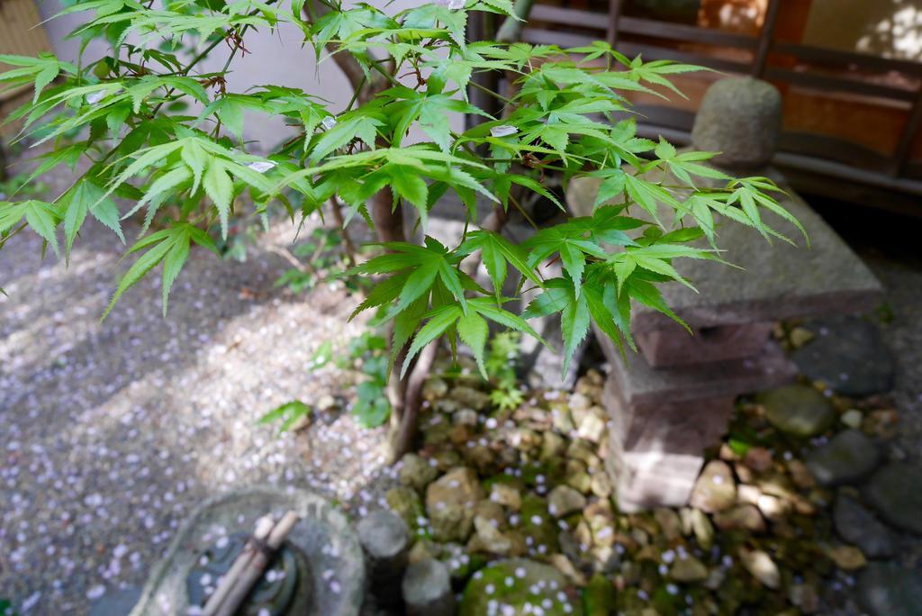 100 Years Old Traditional Kyoto Machiya Townhouse - K'S Villa Kültér fotó